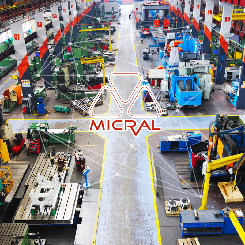 Micral IIoT industries